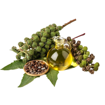 non-edible castor oil