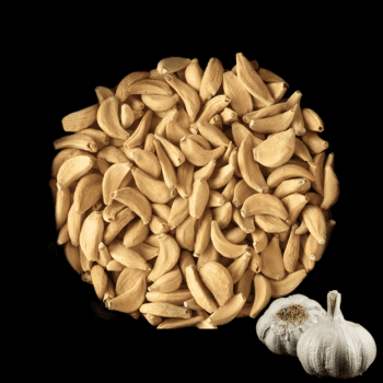 dehydrated food products—garlic flakes by Radhe Exim