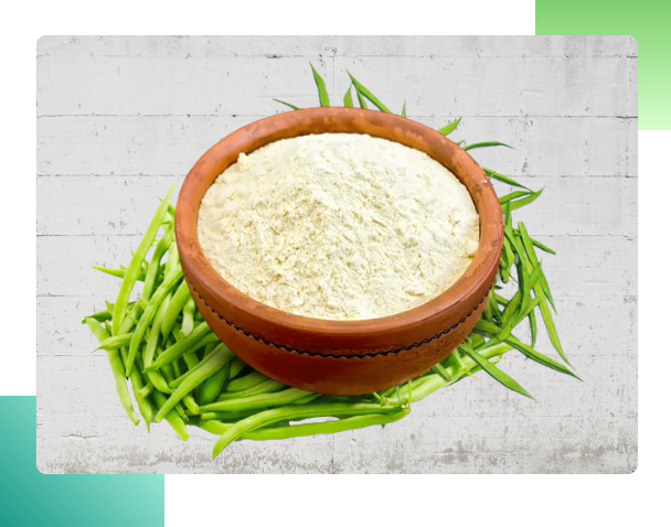 Indian agro-export company products