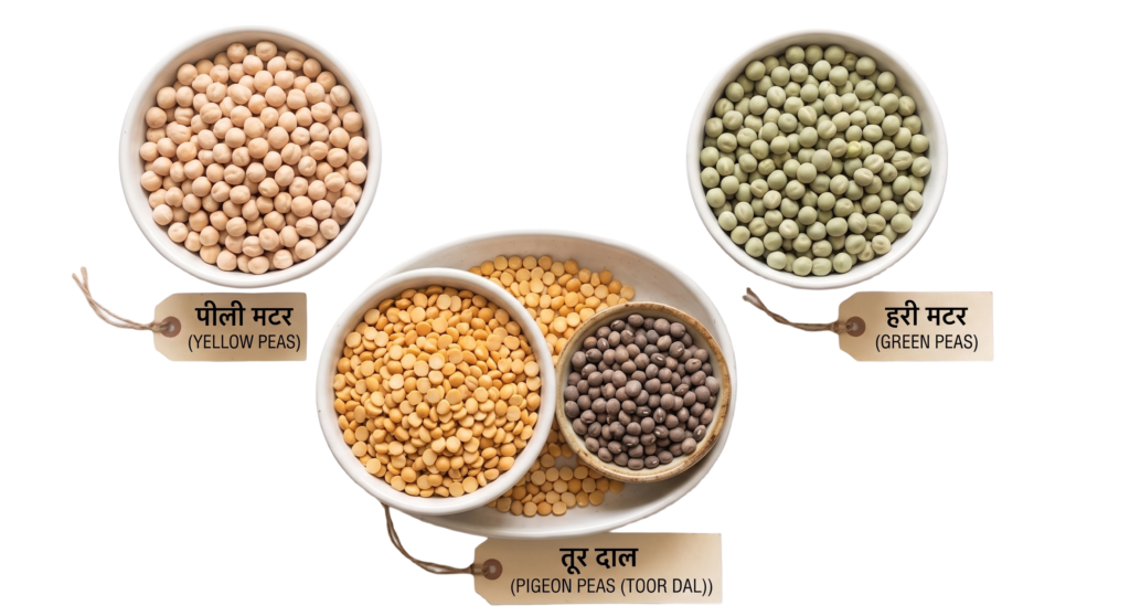 pulses