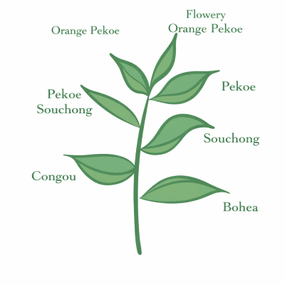 ChatGPT Image Mar 25, 2026, 11_31_09 AM